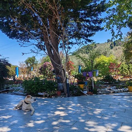 Εξοχική Κατοικία - Cottage Τίνα Líri Exterior foto